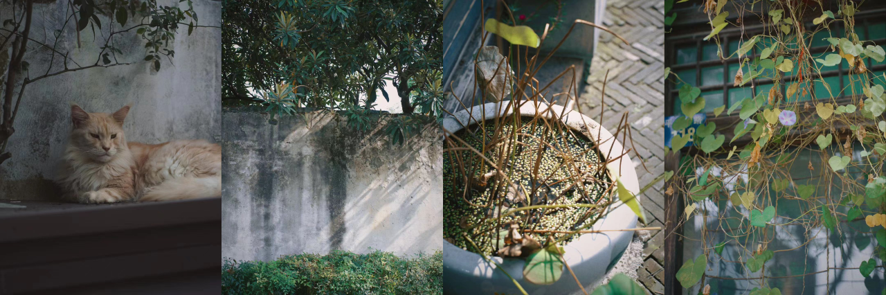 那就“兜兜”平江路吧