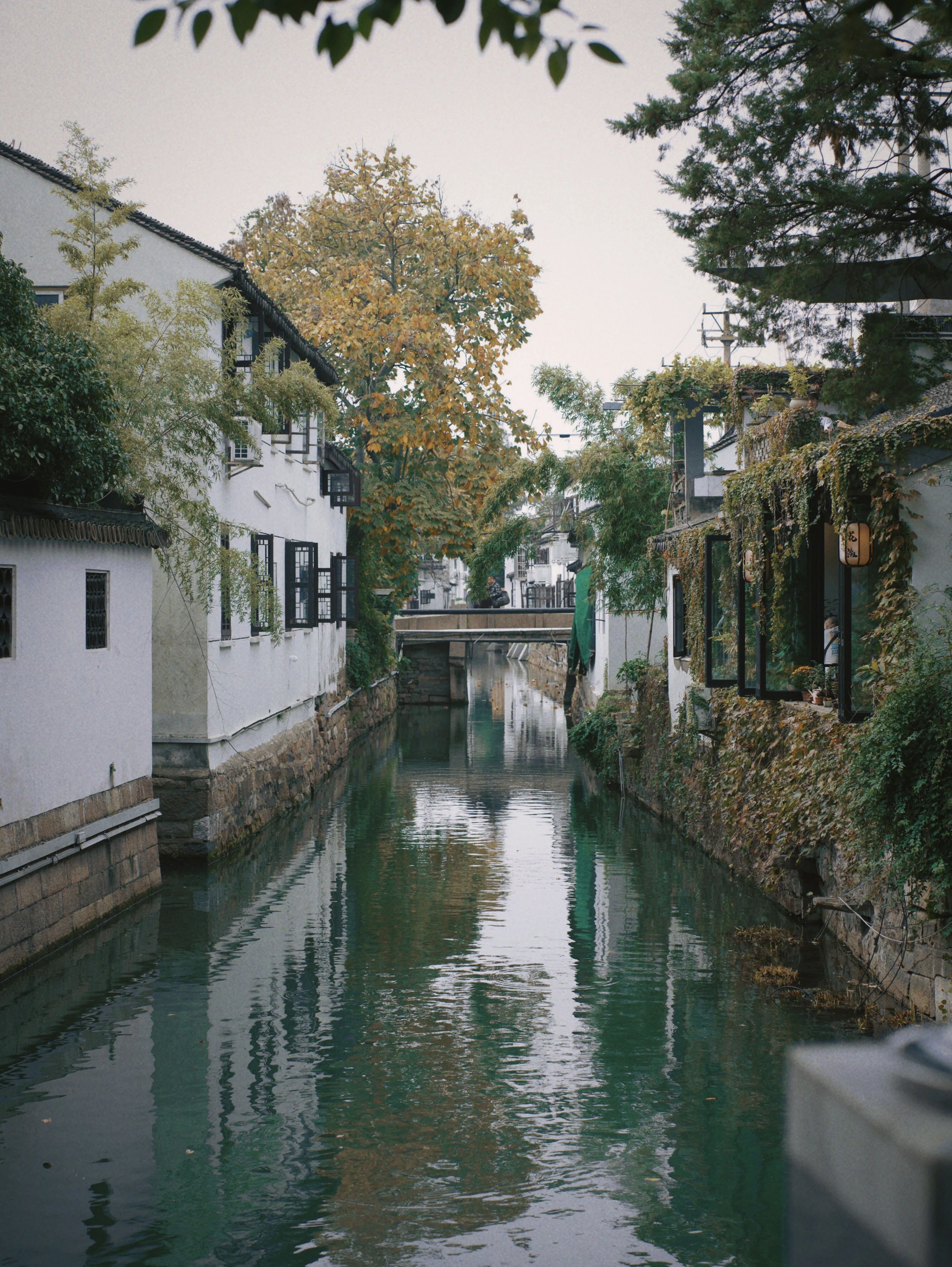 那就“兜兜”平江路吧