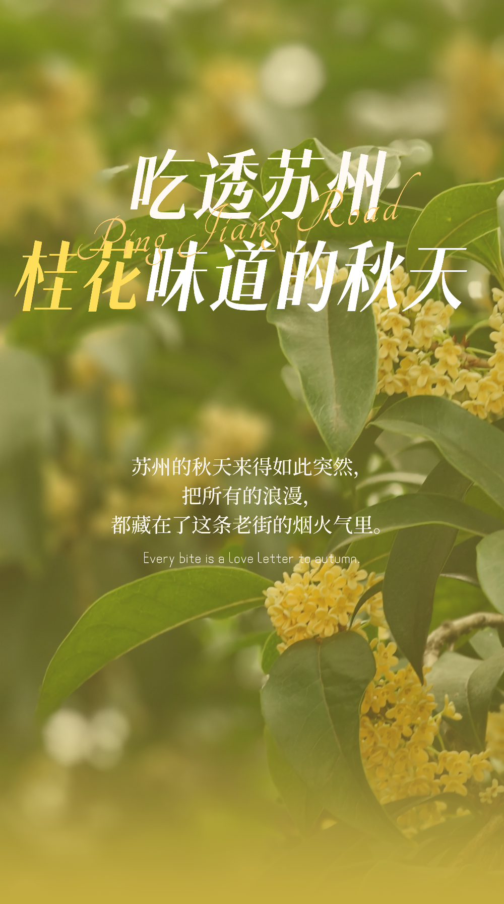 秋风起，栗子香｜在平江路，咬一口柔软的苏式秋天