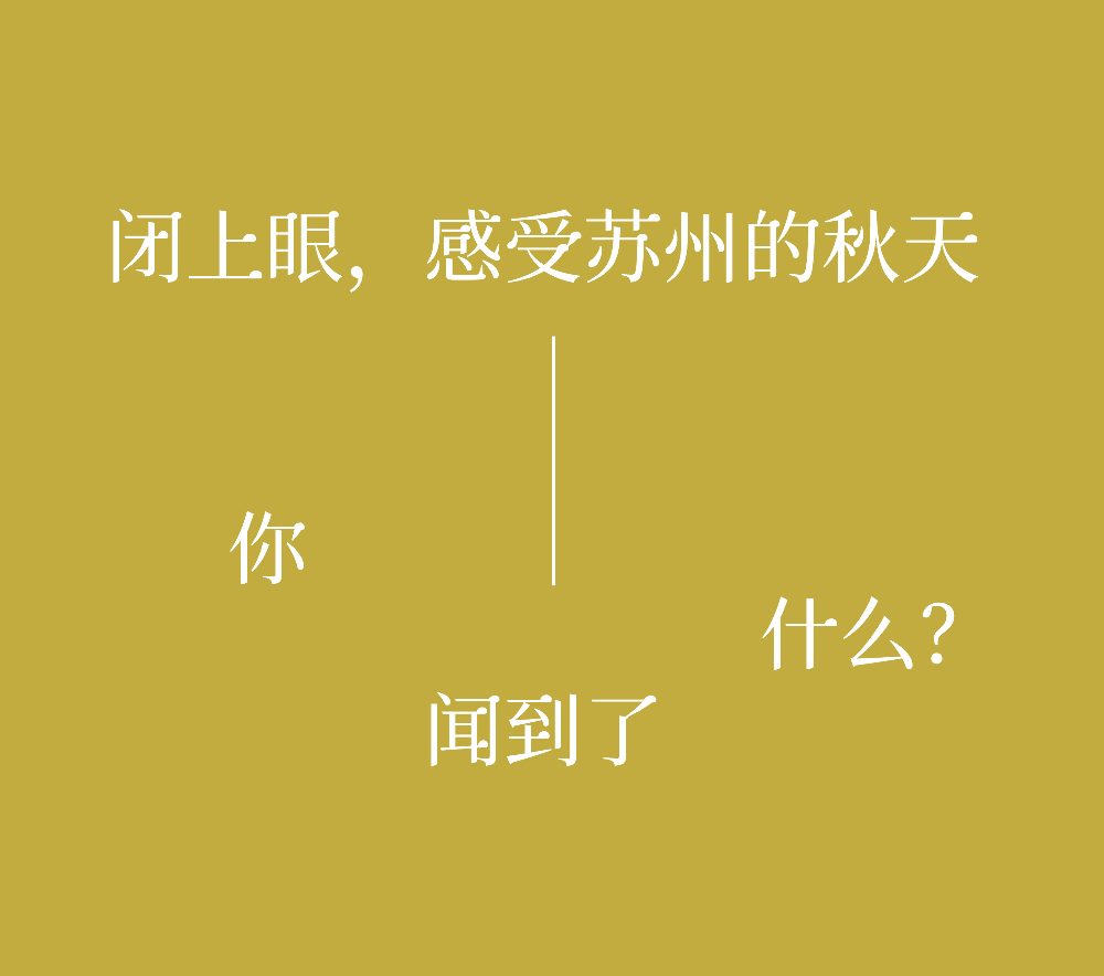 秋风起，栗子香｜在平江路，咬一口柔软的苏式秋天