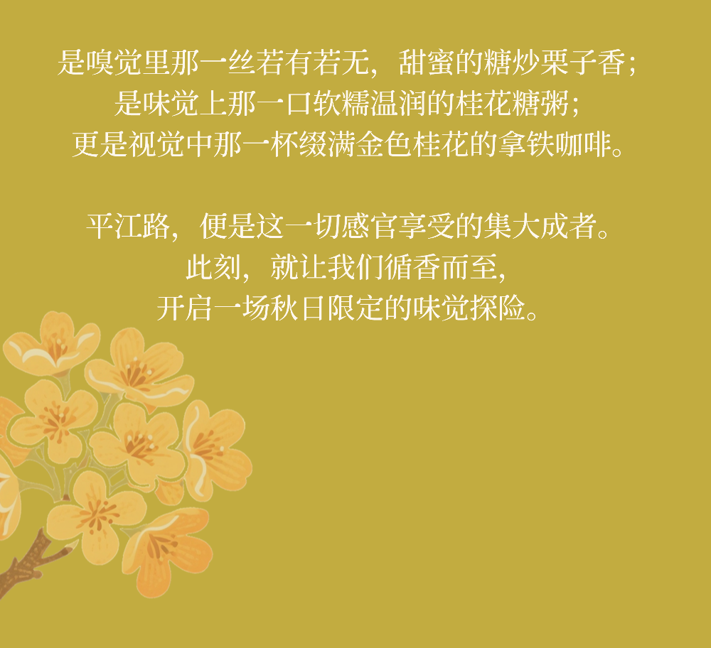 秋风起，栗子香｜在平江路，咬一口柔软的苏式秋天