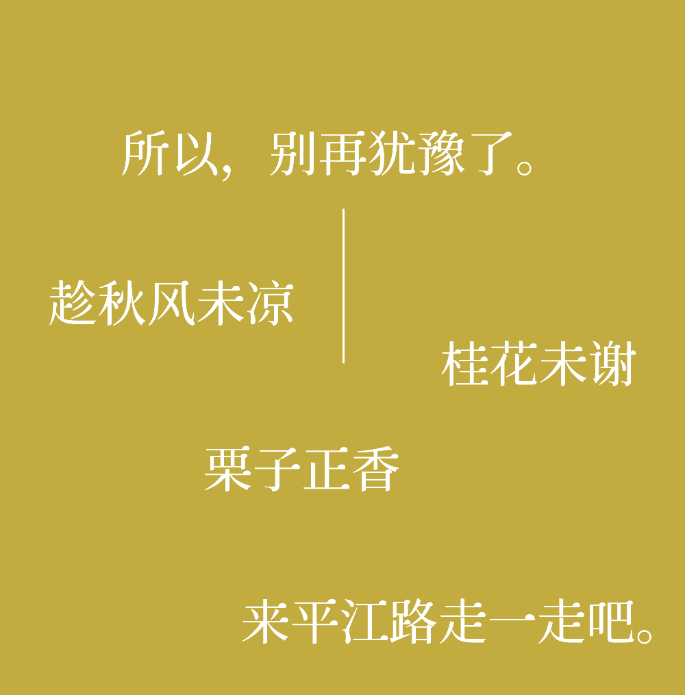 秋风起，栗子香｜在平江路，咬一口柔软的苏式秋天