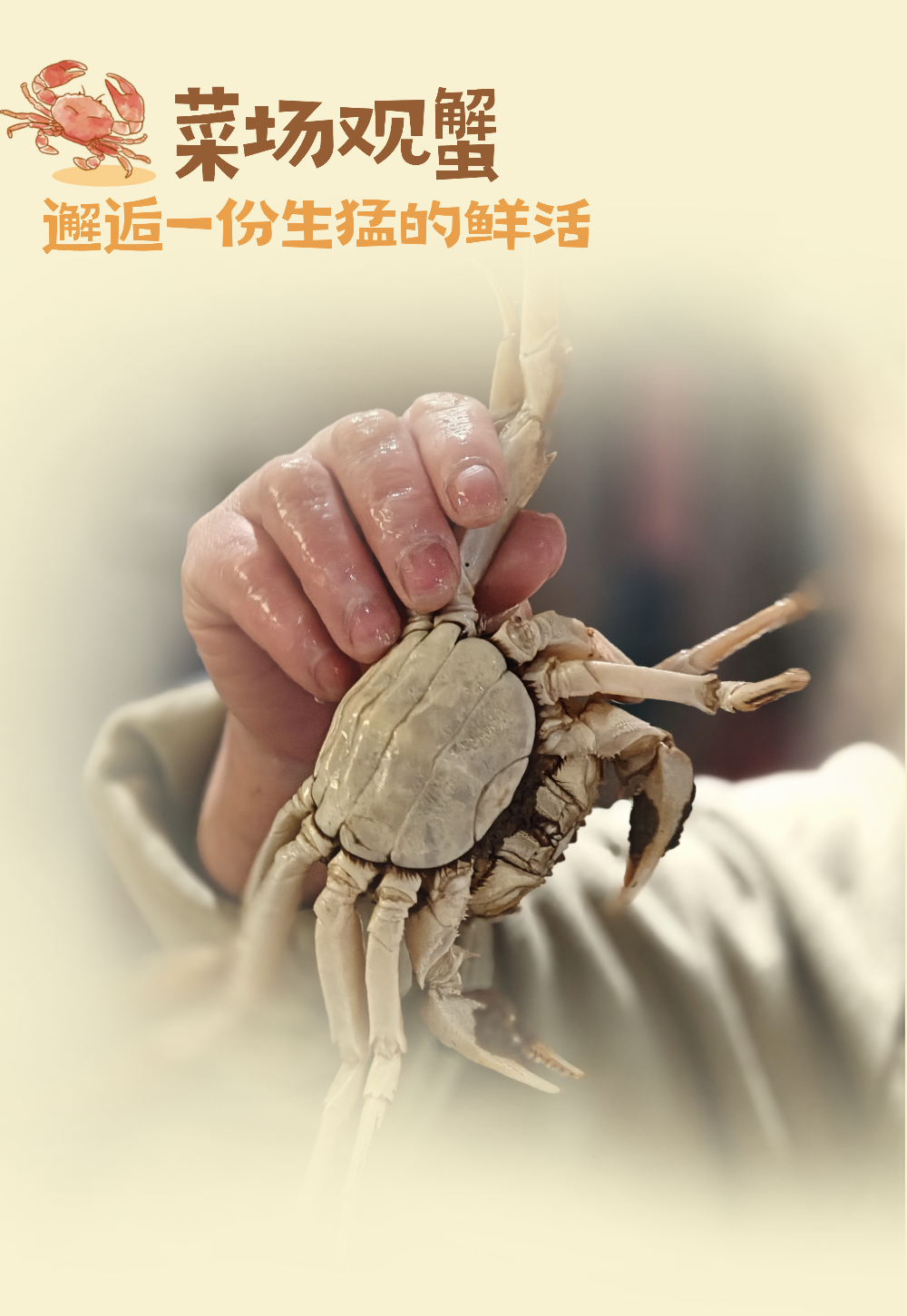 入冬的平江路，把第一口温柔留给大闸蟹