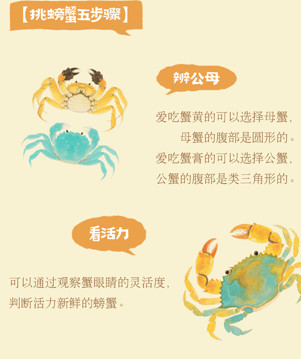 入冬的平江路，把第一口温柔留给大闸蟹