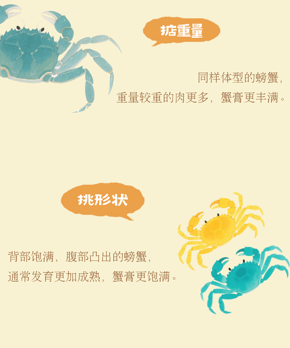 入冬的平江路，把第一口温柔留给大闸蟹