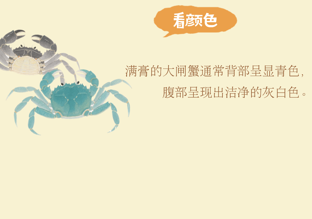 入冬的平江路，把第一口温柔留给大闸蟹