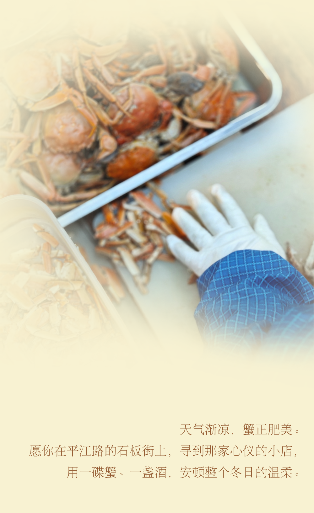 入冬的平江路，把第一口温柔留给大闸蟹