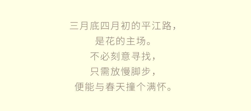 走啊，趁春假，去平江路逛春天！