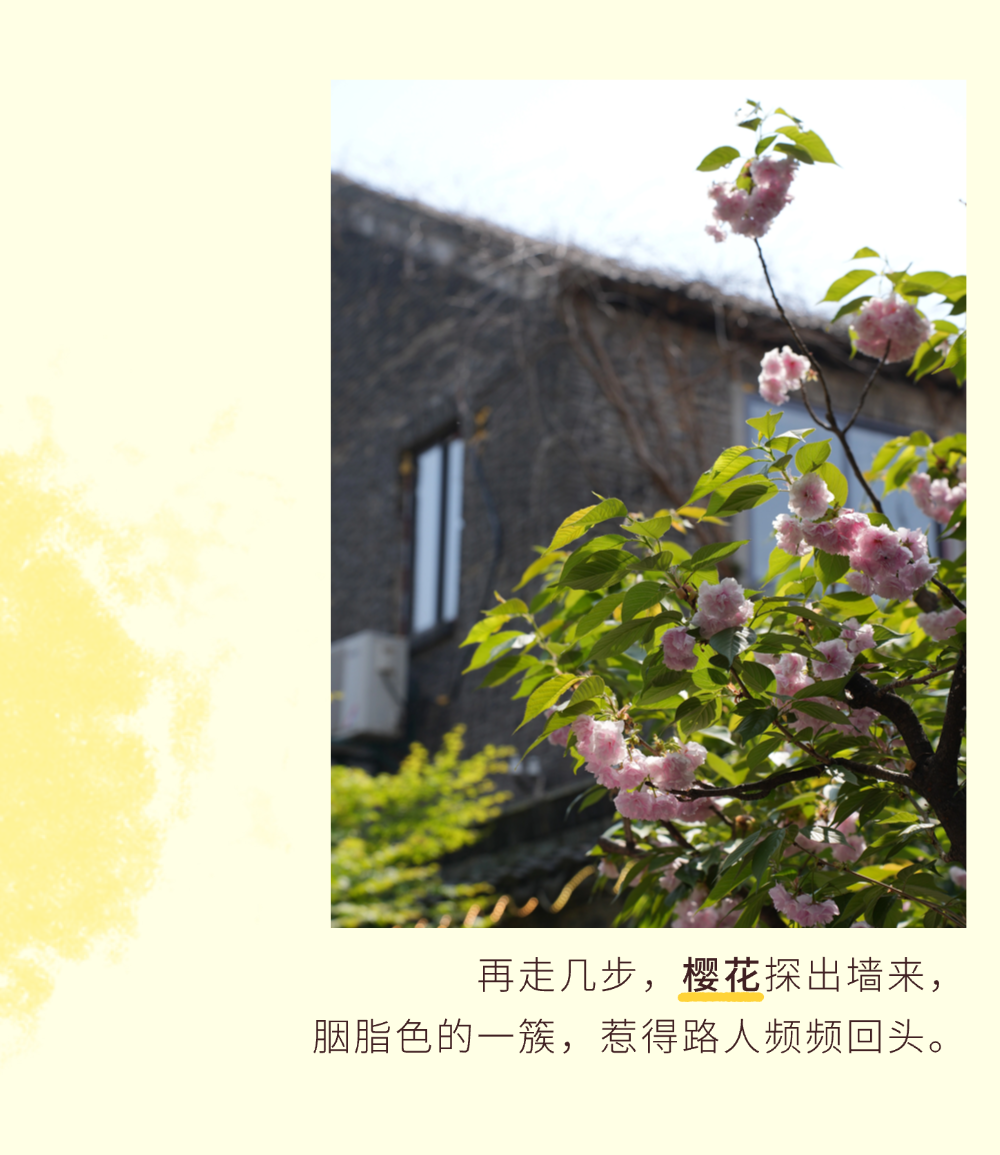 走啊，趁春假，去平江路逛春天！