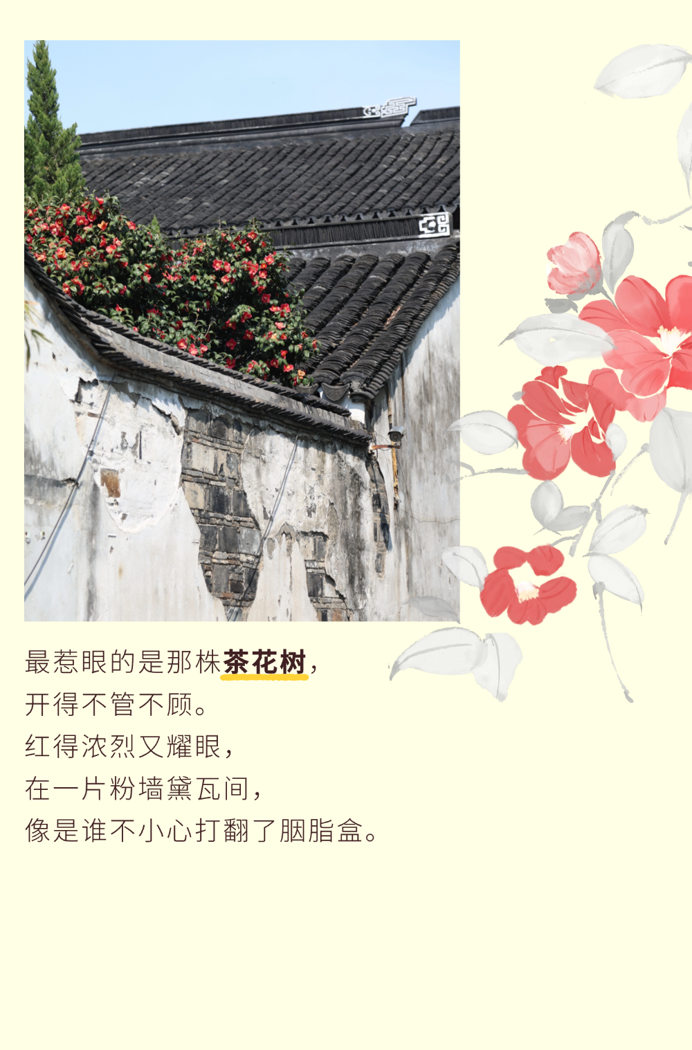 走啊，趁春假，去平江路逛春天！